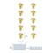 Cadon 1.2" Diameter Brushed Gold Mushroom Knob Multipack (Set of 10)